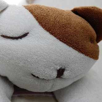 flow Essence 美年～mitoshi～