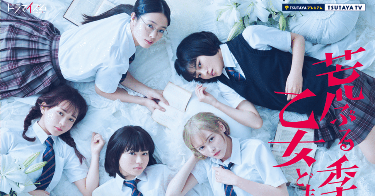 ドラマ『荒ぶる季節の乙女どもよ。』｜taiga