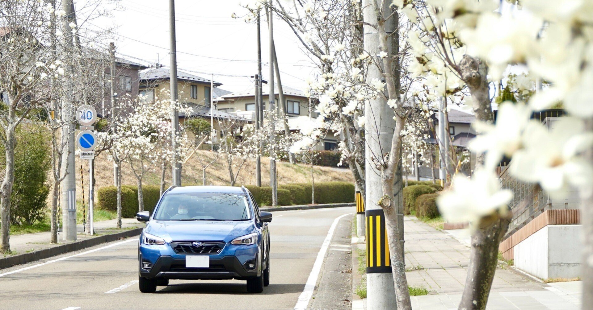 Cochon Patisserie Cafe コションパティスリーカフェ 利府にある素敵な洋菓子屋さんへ 宮城スバル 日の出店 Miyagi Subaru Hinode Note