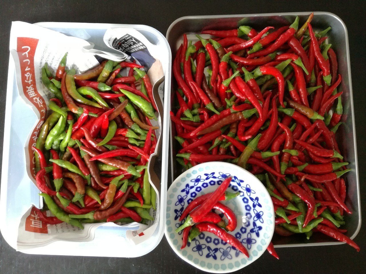 タイ料理と唐辛子 歴ログ 尾登雄平 Note タイ料理と唐辛子 歴ログ 尾登雄平 Note