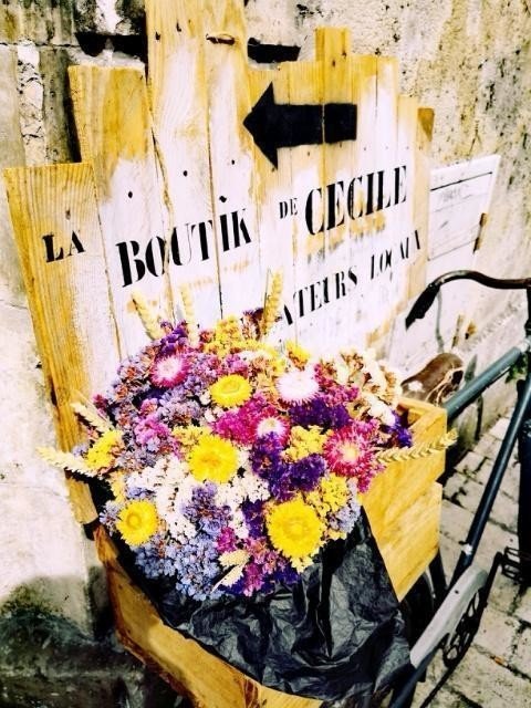 ラ_ロシェル_自転車の花