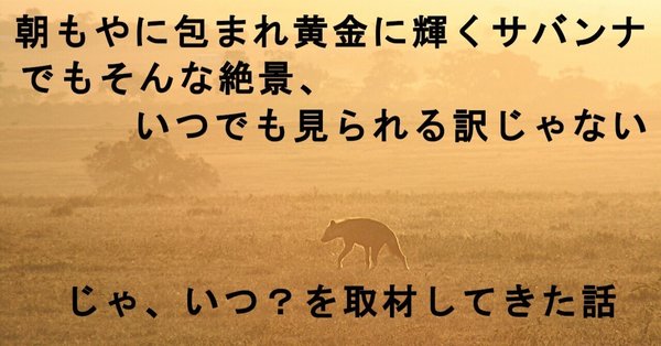 まるまるサファリの本』＊サファリ取材の裏ばなし - ケニア
