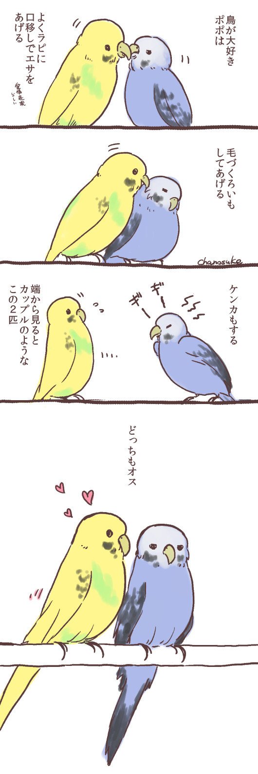 文鳥とかインコとか３