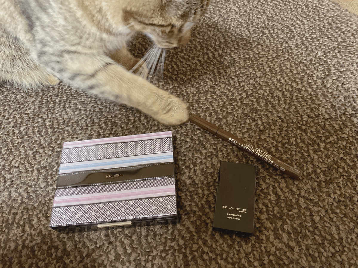 断捨離】グッズ厨がコスメを厳選した話｜朔