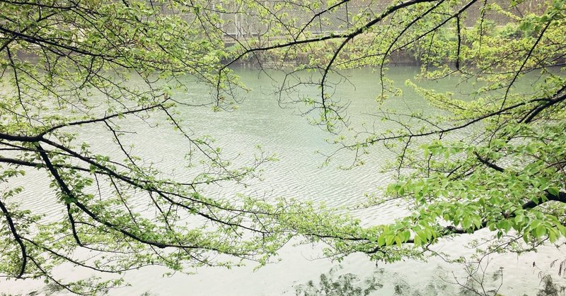 ひらがな46文字のアナグラム詩 39篇 なおみ Note