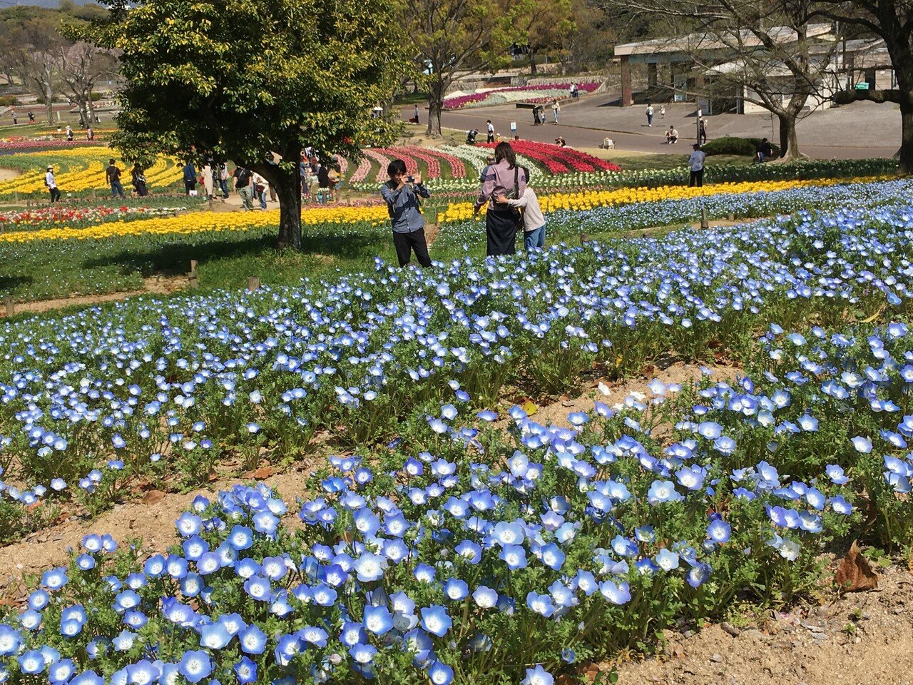 邂逅する写真たち『モンゴルの100年前と今』国立民族学博物館｜夕遊