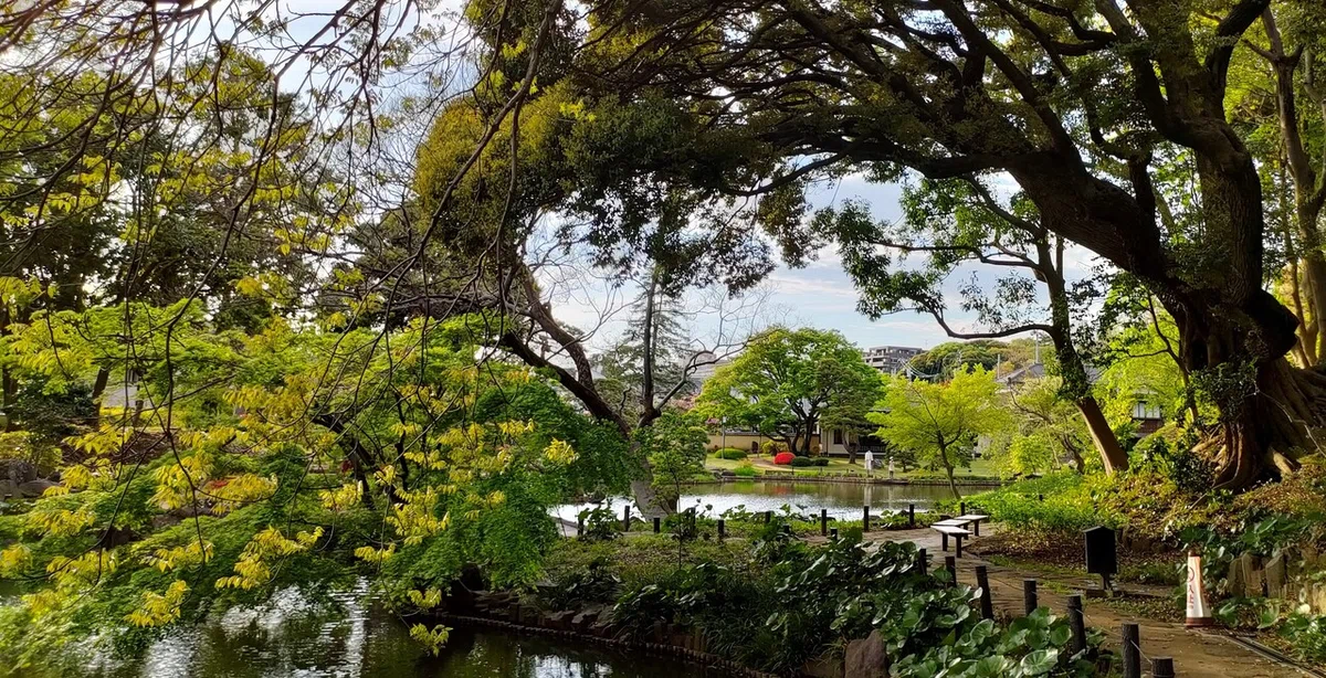 画像6