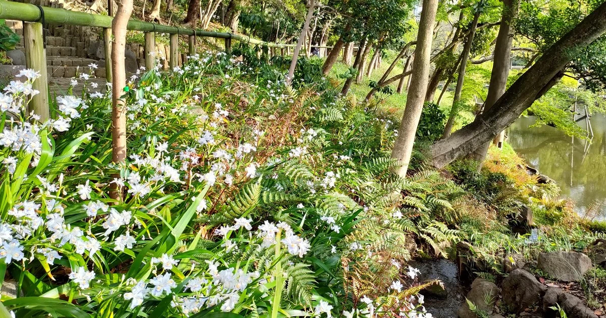 画像8