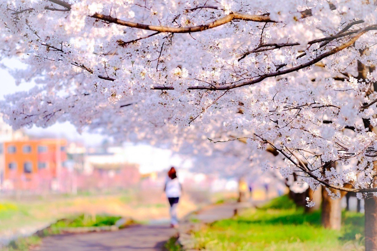 絶対に守ってくれる人はいる ヤンキーに呼び出された中学時代に感じたこと 吉本ユータヌキ