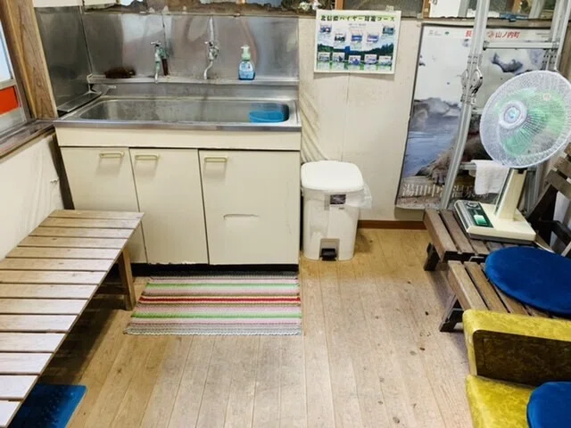 画像14