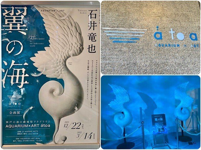 神戸に誕生した劇場型アート水族館「アトア」｜戸川みゆき