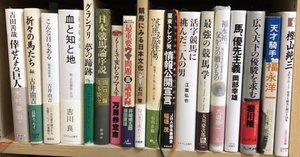 関口房朗「ダービーオーナーは社長失格？」（読書感想）｜稲庭うどん