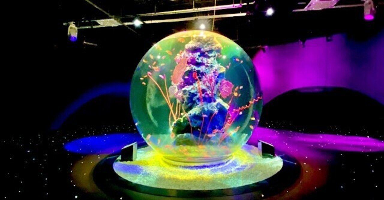 神戸に誕生した劇場型アート水族館「アトア」｜戸川みゆき