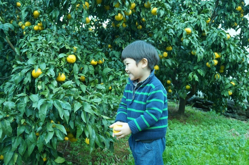 丸山洋平 Note 丸山洋平 Note