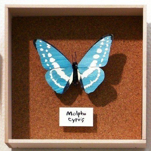 ペーパーモザイクバタフライ 3 Murayama Noriko Note