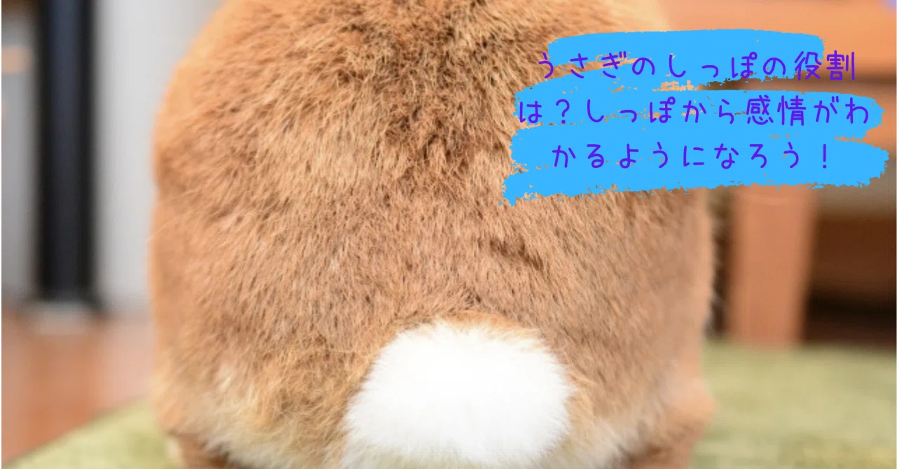 6ef88bb36836b23142680c971e012d