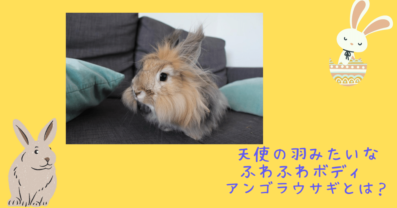 羽♡黒うさぎちゃん
