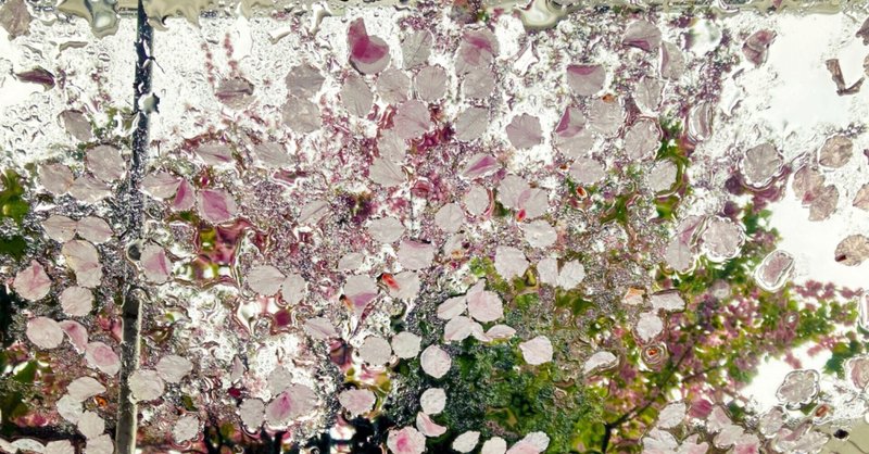 ひらがな46文字のアナグラム詩 39篇 なおみ Note