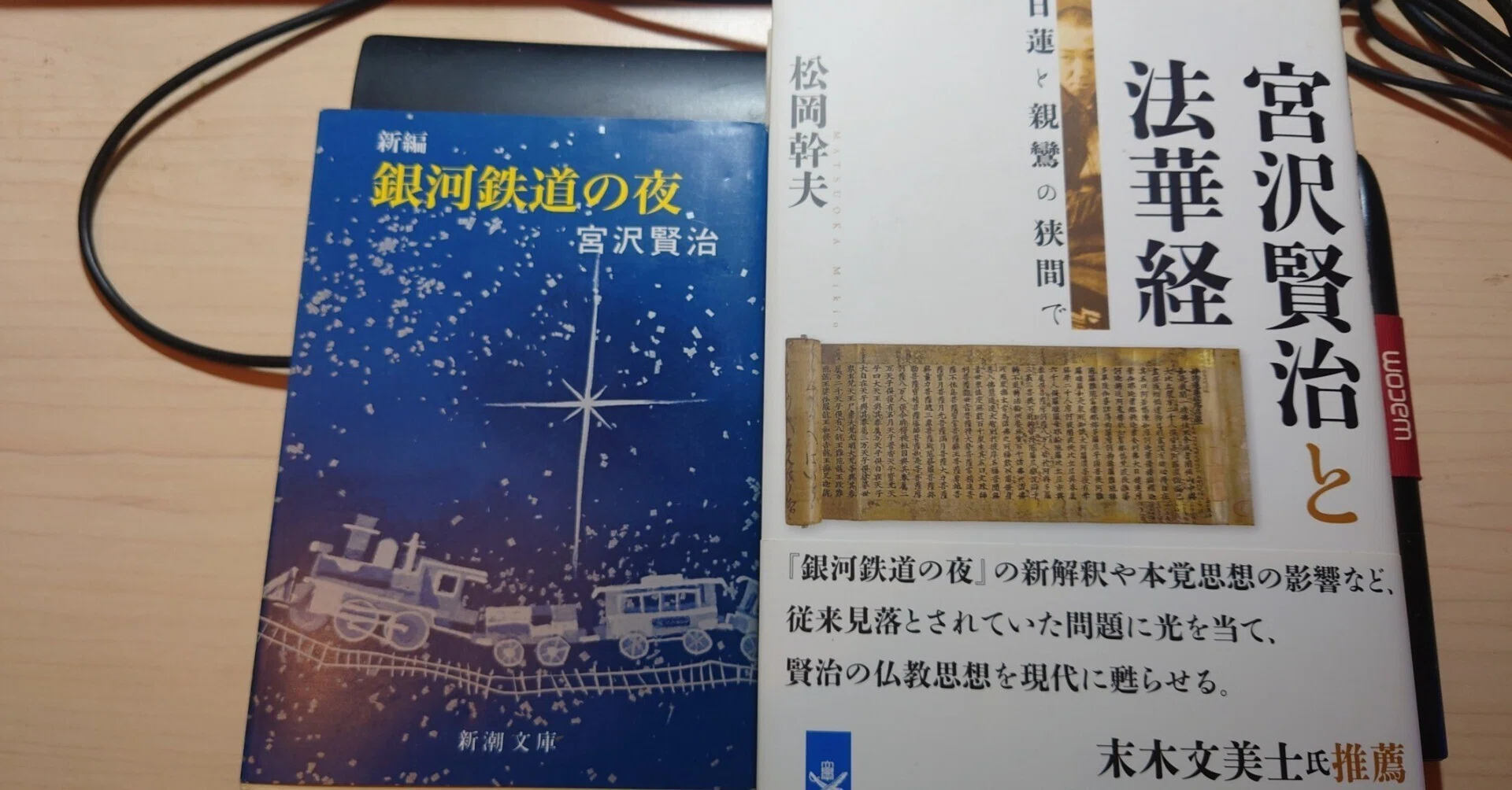 宮沢賢治と法華経を読んで｜猫やなぎの日常