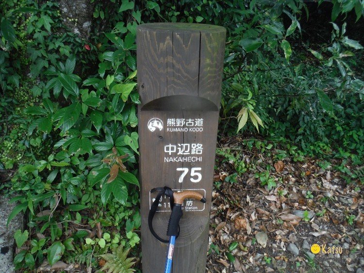 熊野古道の中辺路を歩いてきました。和歌山県の田辺を出発して、熊野本宮大社まで。約40キロの行程を一泊二日で歩きます。