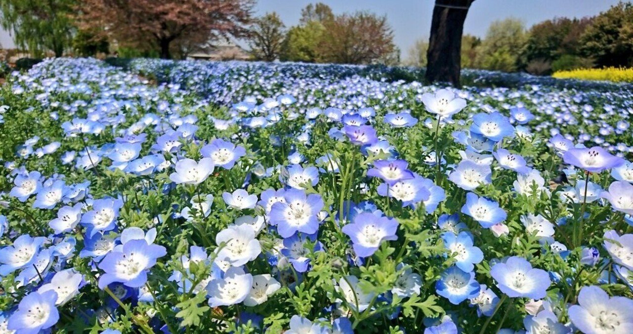 鑑定内容kさん キロンやセミスクエアの意味を海外の情報から調べ つつ提供した鑑定内容をご紹介 リョウ 海外の占星術の翻訳 タロット 潜在意識書き換え 虐待年を描く漫画家 Note 鑑定内容kさん キロンやセミスクエアの意味を海外の情報から調べ つつ提供した鑑定内容をご紹介 リョウ 海外の占星術の翻訳 タロット 潜在意識書き換え 虐待年を描く漫画家 Note