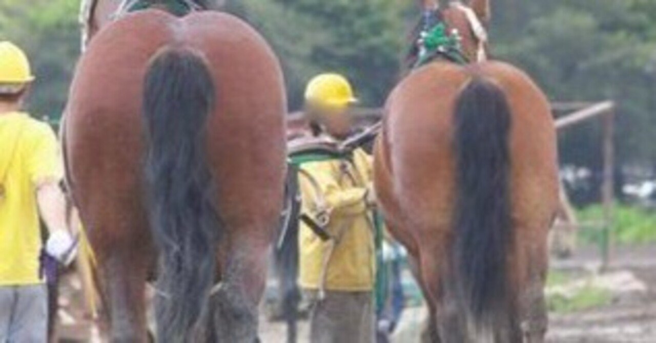 巨漢のスプリンター ヒシアケボノ 〜名馬たちの記憶10〜｜真実良