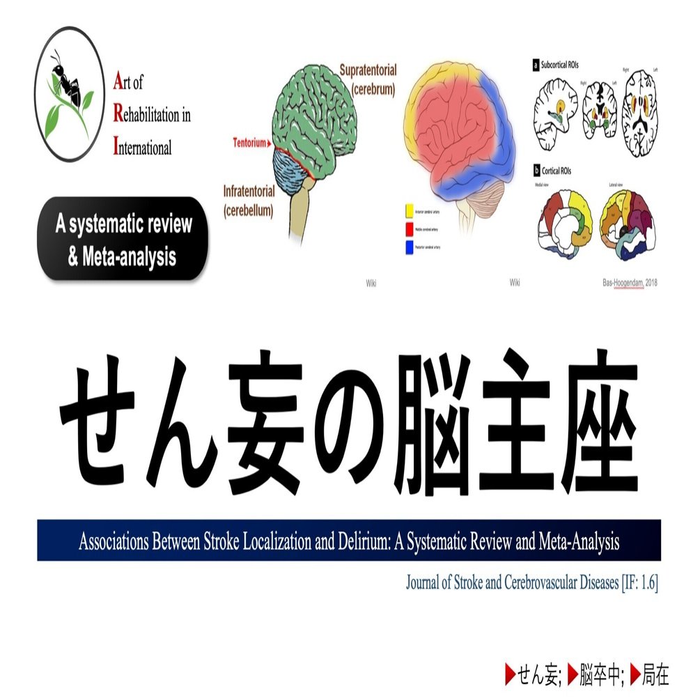 せん妄の脳主座。｜Super Human | 理学療法士／保健学博士 Ph.D.