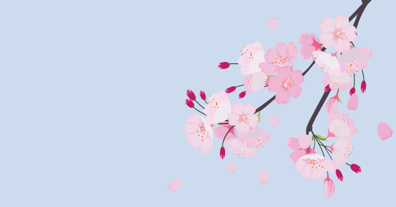 和を感じる！QUMZINEより皆様に桜満開の春写真をお届けします #みんなでつくる春アルバム