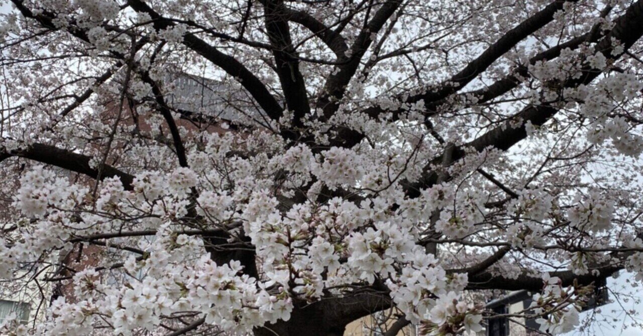 note に入社しました｜watura｜note アイキャッチ