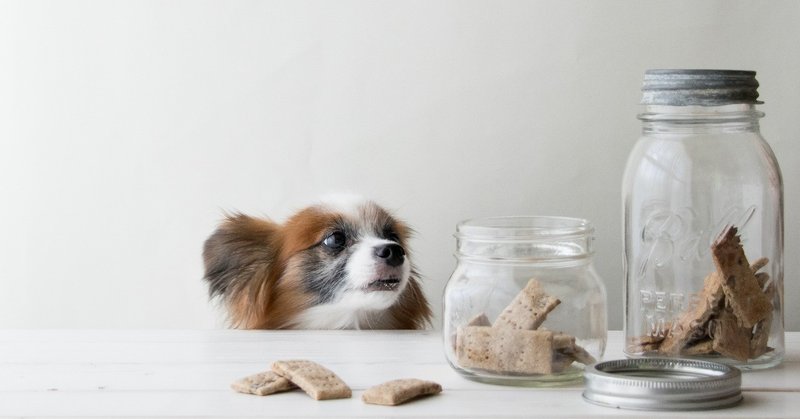 型抜き不要のお手軽レシピ 甘栗とバナナのしっとりクッキー 手作り犬おやつレシピ いちかわあやこ 犬ごはん先生 Note