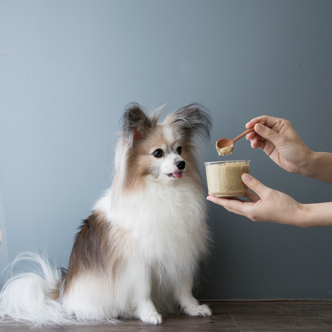 トッピングや薬を飲ませる時にも 栗とさつまいものスイートクリーム 手作り犬おやつレシピ 単品購入 いちかわあやこ 犬ごはん先生 Note トッピングや薬を飲ませる時にも 栗とさつまいものスイートクリーム 手作り犬おやつレシピ 単品購入 いちかわあやこ 犬ごはん先生 Note