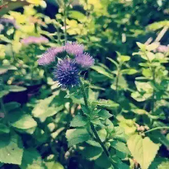 『あの日、あの景色』 〜自分らしく生きるためのヒント〜