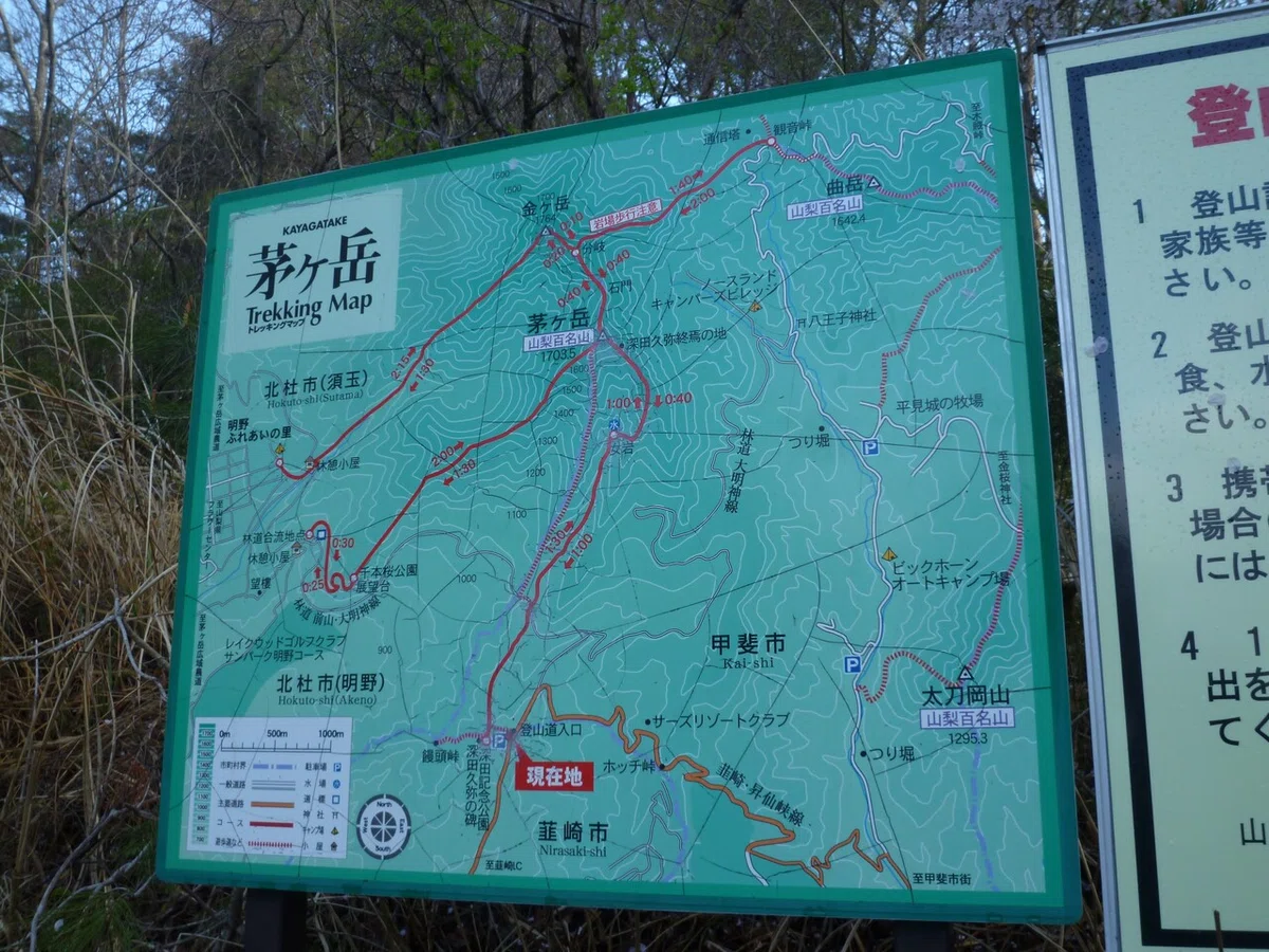画像7