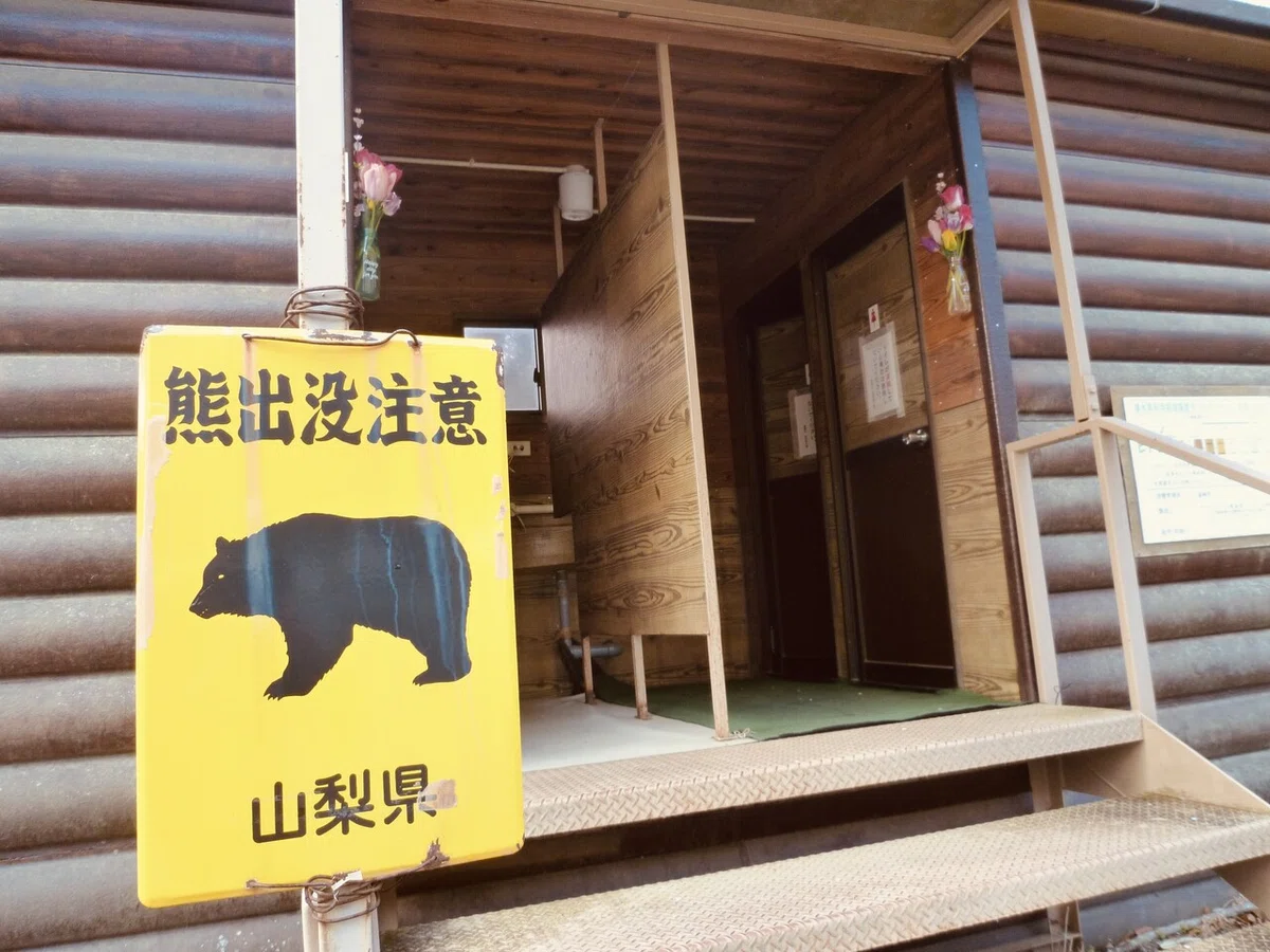 画像8