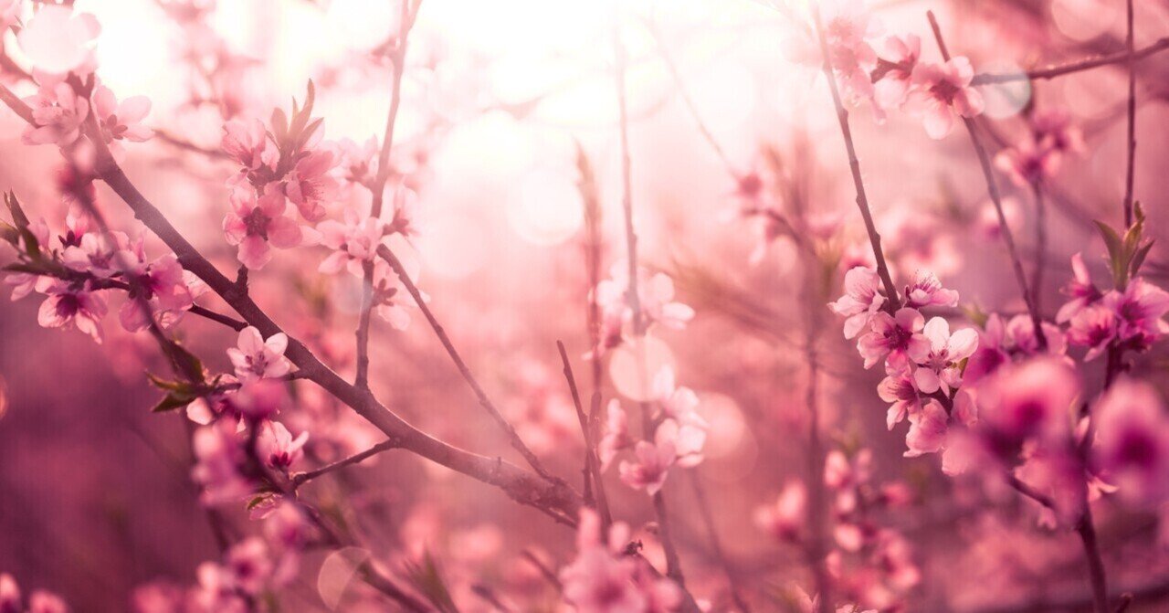 Glass Heart番外編 幸せになるからね 無料記事 若木未生 小説家 Note Glass Heart番外編 幸せになるからね 無料記事 若木未生 小説家 Note