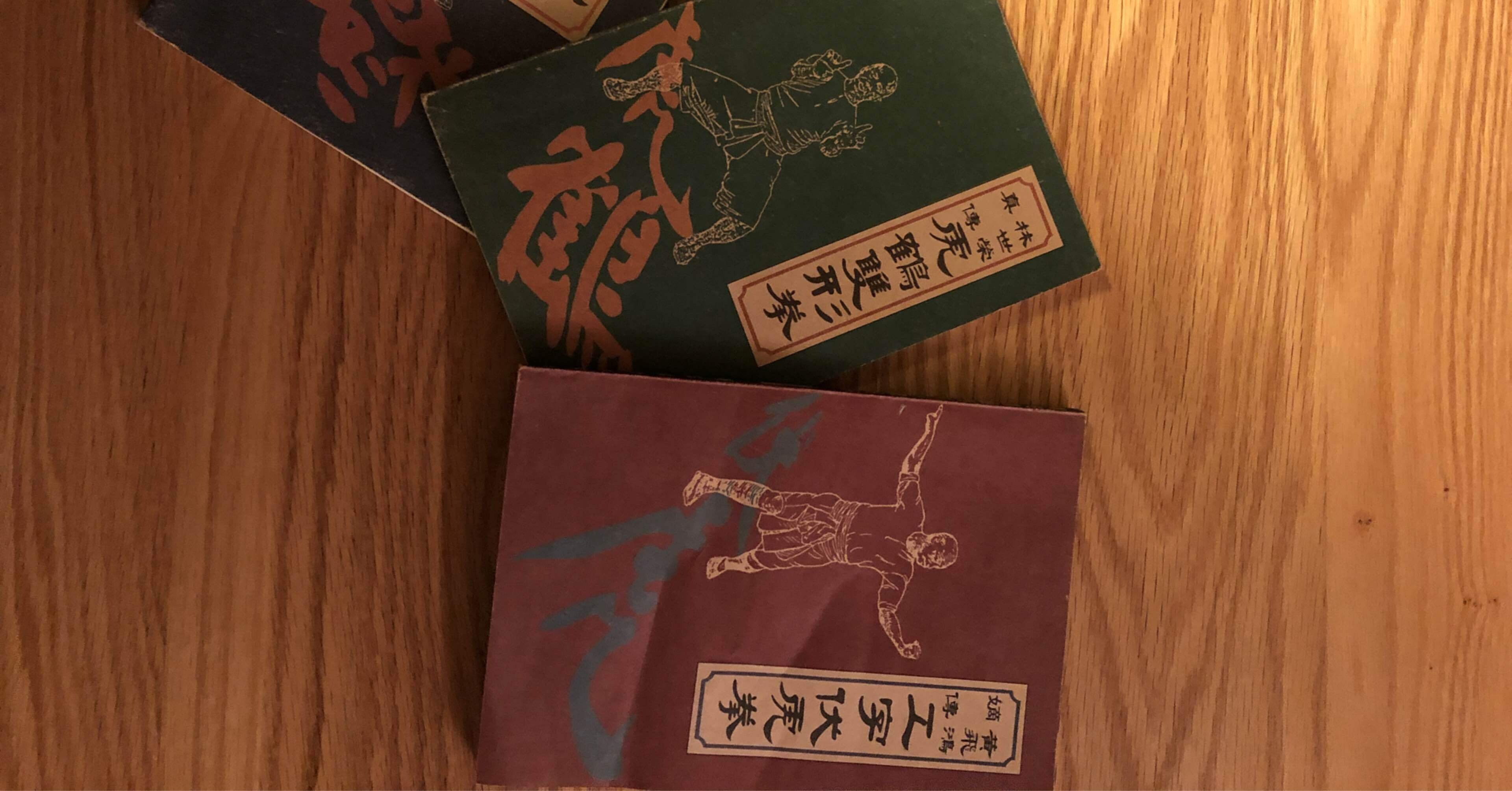 洪家拳対詠春拳 詠春拳と洪家拳！二代目カンフー高校生と稽古会してみた