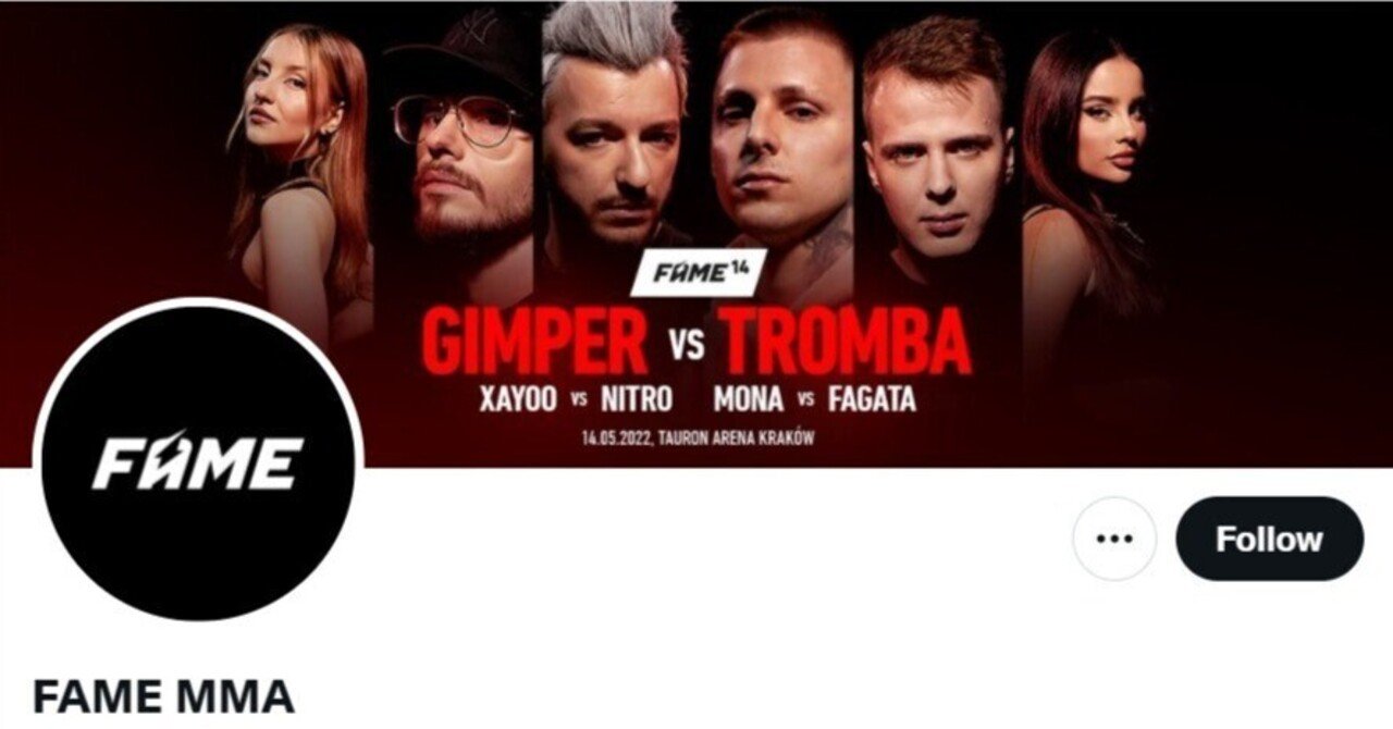 格闘技運営の FAME MMA 仮想通貨とGameFiに進出 今後のスポーツビジネスのメインストリームになる予感 ｜駒瀬元洋 |  経営者・事業責任者の右腕として伴走支援