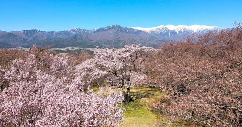 自然のこと27 [自然音と4K映像] 大草城址公園（長野）の日の出／2022.4.05／清明