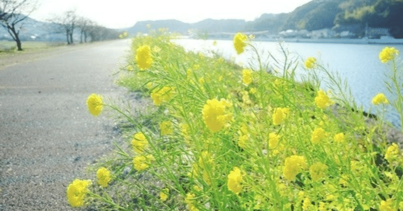 0129 草木が緑に透ける日