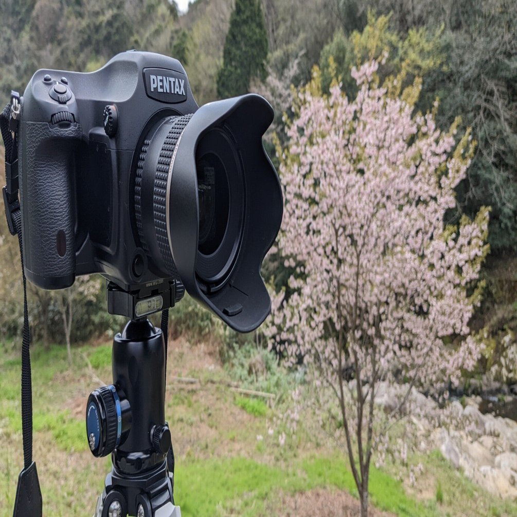 デジタルカメラ 645d Pentax 645D: what is the pixel size?