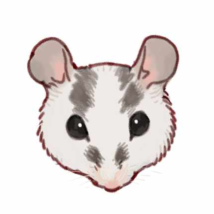 ぶっ殺してやる太郎