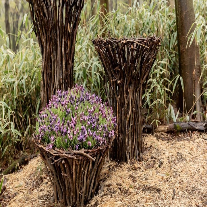 自然と一体になれる新スポット「ニコライ バーグマン 箱根 ガーデンズ