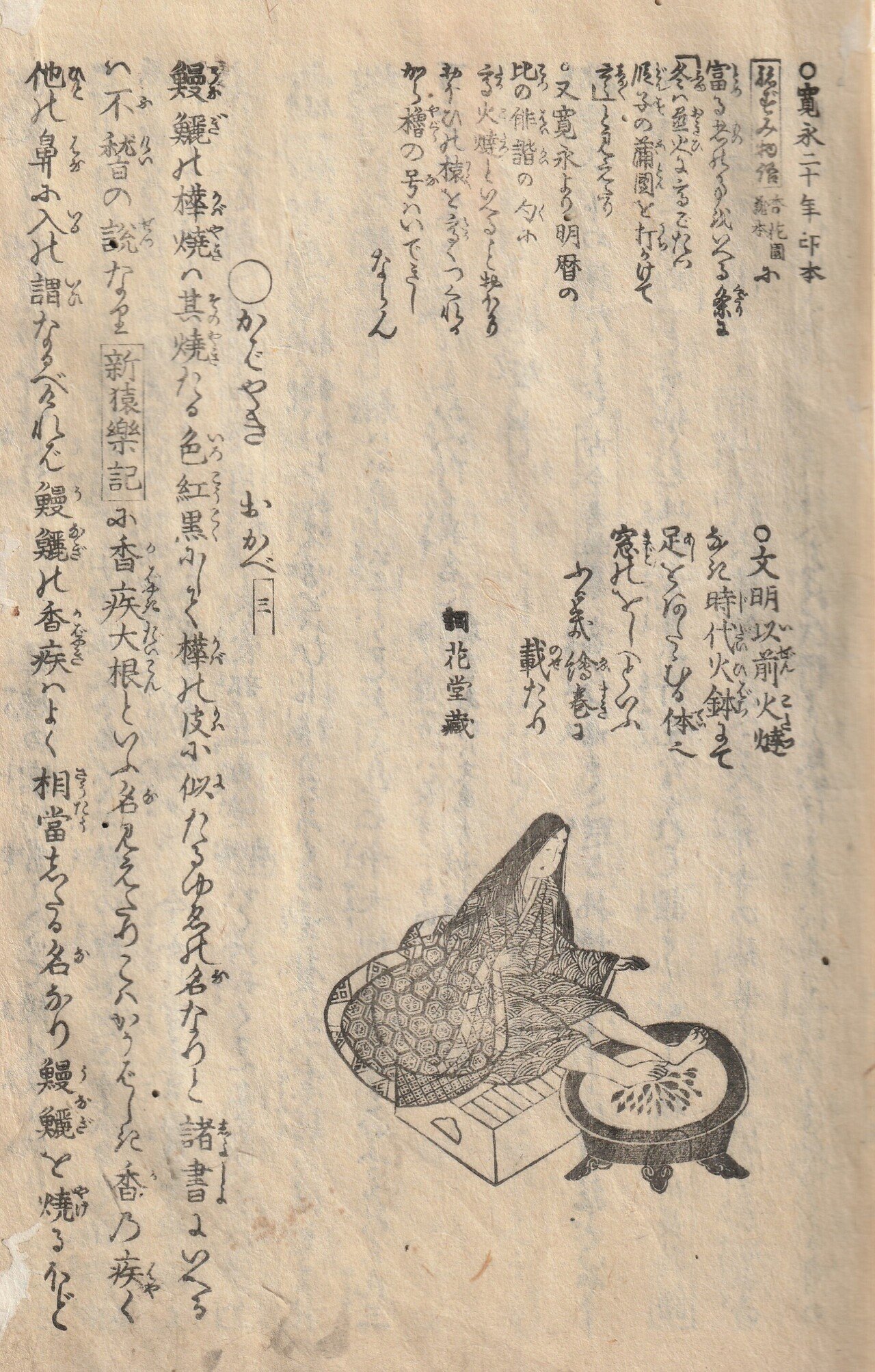 中村玲方【ドジョウ】紙本　掛軸（うなぎ） 中村玲方【ドジョウ】紙本 掛軸（うなぎ） 中村玲方【ドジョウ