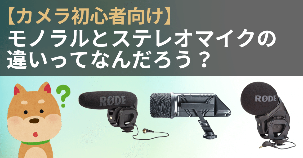Rode Stereo マイク RODE ロード マイクロフォンズ Stereo VideoMic Pro Rycote