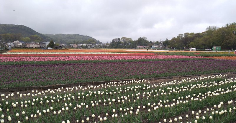 ARTから感じるもの