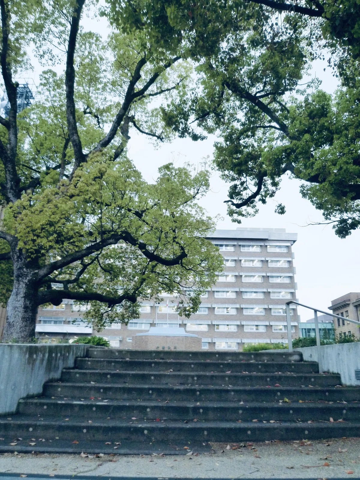画像38