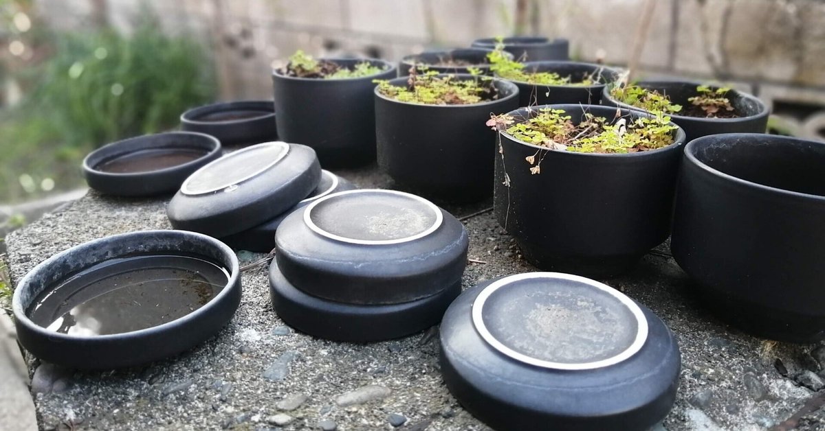 アラビア ヴィンテージフラワーポット SNプラントポット 植木鉢 楽天