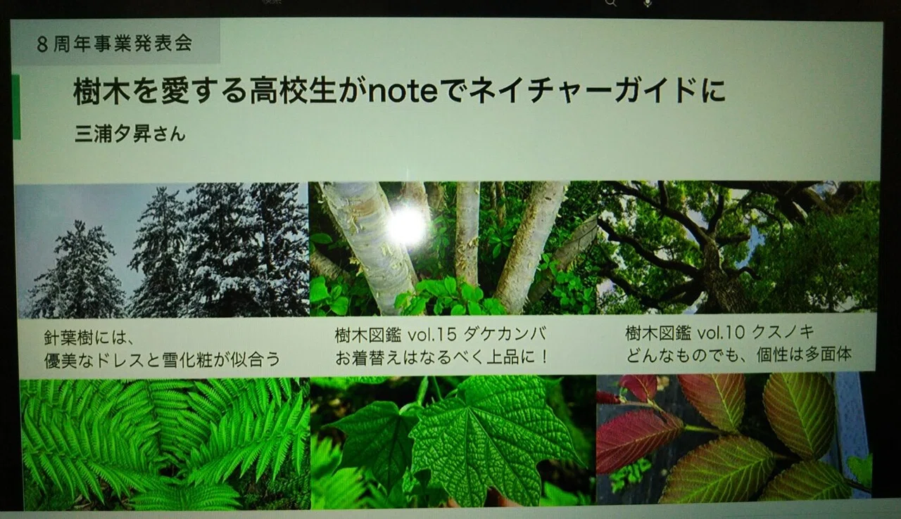 画像9