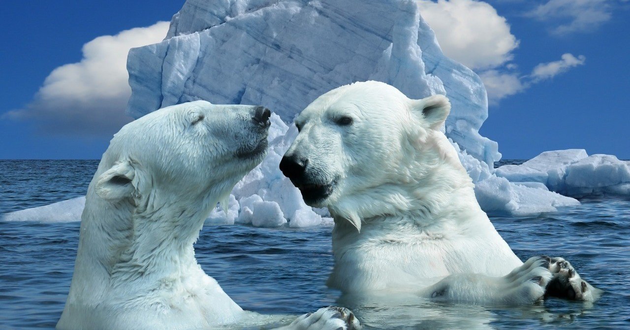 ワークショップにおけるアイスブレイク入門 ホソヤ タケヒロ Note ワークショップにおけるアイスブレイク入門 ホソヤ タケヒロ Note