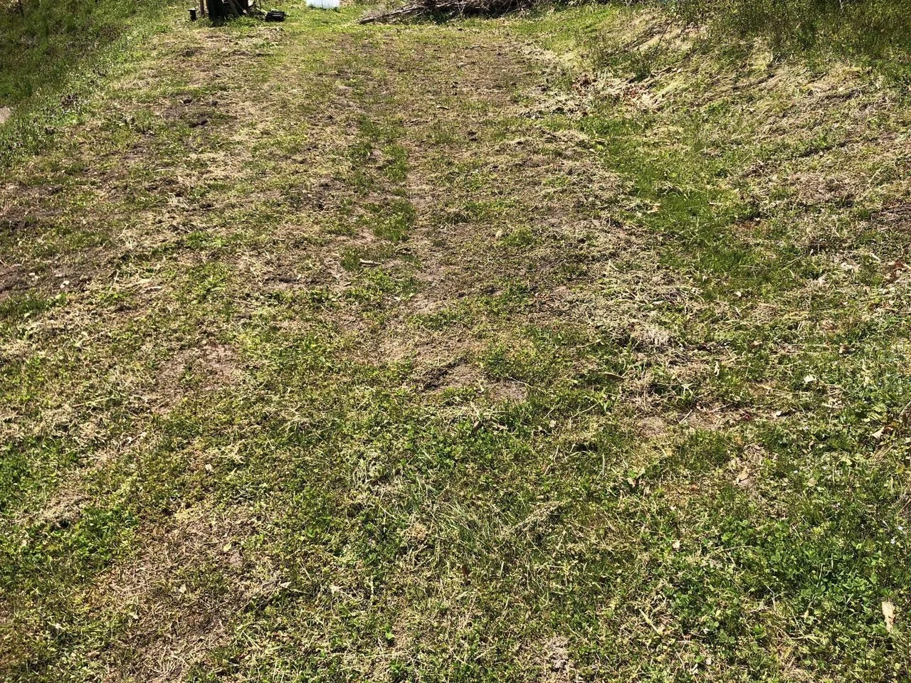 栽培予定箇所に苦土石灰をすき込む｜MUNA_FARM 無農薬自給自足｜note